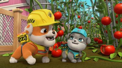 Rubble & Crew: Staffel 1, Folge 41: Die Crew baut einen Eichhörnchen-Garten