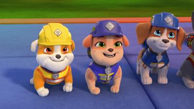 Rubble & Crew: Staffel 2, Folge 12: Die Crew baut eine Zirkus-Show