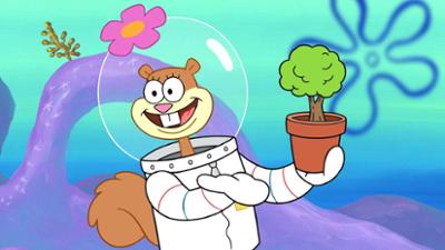 SpongeBob Schwammkopf: Willkommen in Wandhausen