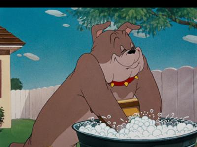 Tom und Jerry: Staffel 1, Folge 42: Tom in Sachen Sauberkeit