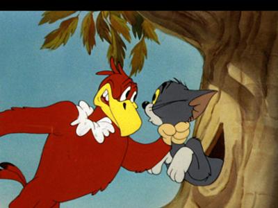 Tom und Jerry: Staffel 1, Folge 9: Tom kriegt einen seltenen Vogel