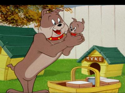 Tom und Jerry: Staffel 1, Folge 66: Tom und das Katerfrühstück