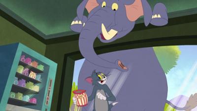 Tom & Jerry in New York: Staffel 1, Folge 2: Museumsruhe / Drachenalarm / Straßenjagd / Das Chamäleon