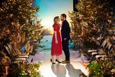 Weihnachten auf der Alpakafarm