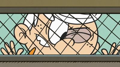 Willkommen bei den Louds: Staffel 5, Folge 5: Die Geburtstagsparty