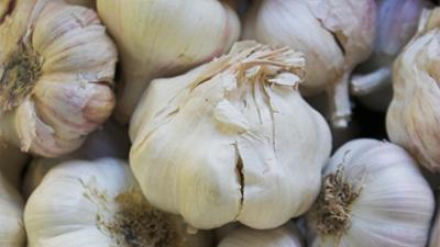 aktiv und gesund: Knoblauch, Eissurfer, Ernährung und biologisches Alter