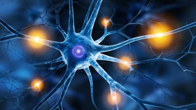 aktiv und gesund: Multiple Sklerose, Ersthelfer Psyche, Feng Shui
