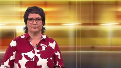 aktueller bericht