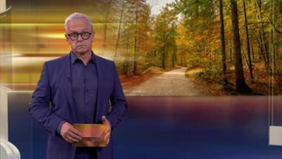 aktueller bericht