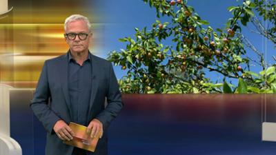aktueller bericht aktueller bericht