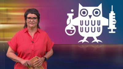 aktueller bericht