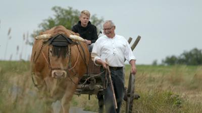 Bauernwelten im Südwesten: Leben mit Vieh und Feldern