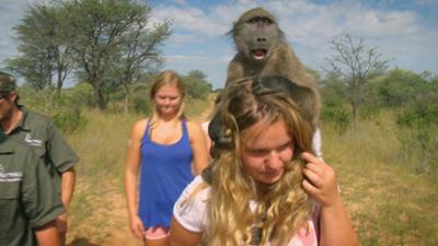 Das Waisenhaus für wilde Tiere: Folge 111: Abenteuer Afrika