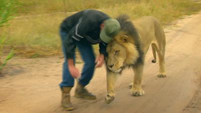 Das Waisenhaus für wilde Tiere: Folge 115: Abenteuer Afrika