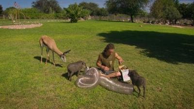 Das Waisenhaus für wilde Tiere: Folge 120: Abenteuer Afrika