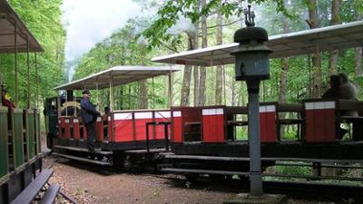 Eisenbahn-Romantik: Der Bummelzug von Abreschviller