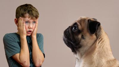 Erklär's mir: Hundezucht - zwischen Faszination und Tierleid · Erklär’s mir