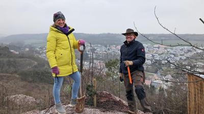 Expedition in die Heimat: Winterwelt der Pflanzen