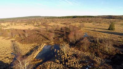 Fahr mal hin: Winter im Hohen Venn
