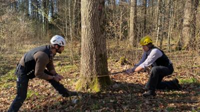 Handwerkskunst!: Wie man traditionell vom Baum zum Brett kommt