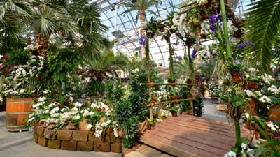 Heimat entdecken: Blüten, Gärten und Genießen