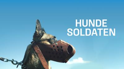 junger dokumentarfilm: Hundesoldaten