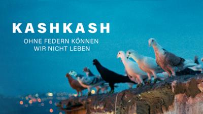 junger dokumentarfilm: Kashkash - Das Spiel mit den Tauben in einem verwundeten Land