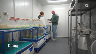 Klimazeit: 19:45 Uhr,