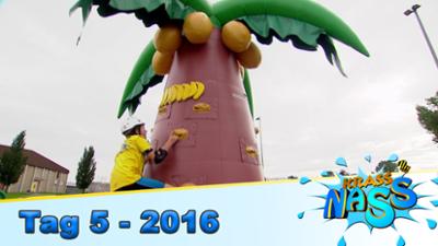 krass nass! - Die Tigerenten Club Sommerspiele 2016: Tag 5: Ab auf die Palme! krass nass! - Die Tigerenten Club Sommerspiele 2016: Tag 5: Ab auf die Palme!