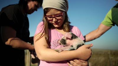 Land - Liebe - Luft: Mit Schwein in ein neues Leben