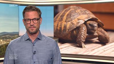 Landesschau Baden-Württemberg