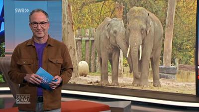 Landesschau Baden-Württemberg