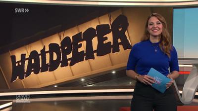 Landesschau Baden-Württemberg