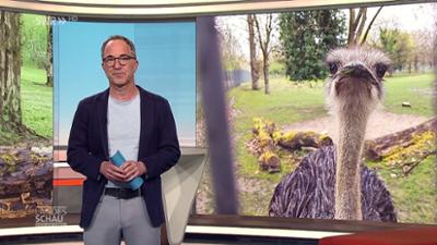 Landesschau Baden-Württemberg