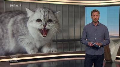 Landesschau Baden-Württemberg