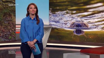 Landesschau Baden-Württemberg