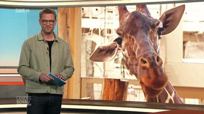 Landesschau Baden-Württemberg