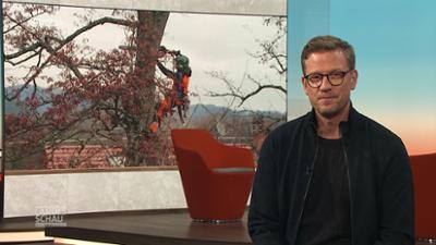 Landesschau Baden-Württemberg