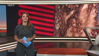 Landesschau Baden-Württemberg