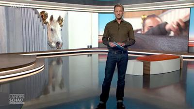 Landesschau Baden-Württemberg