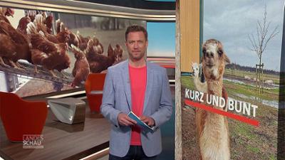 Landesschau Baden-Württemberg