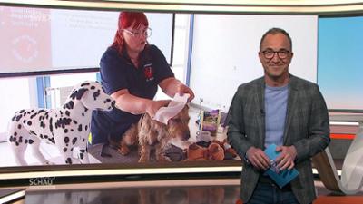 Landesschau Baden-Württemberg