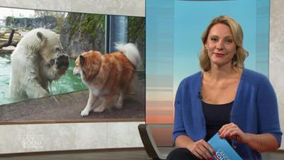 Landesschau Baden-Württemberg