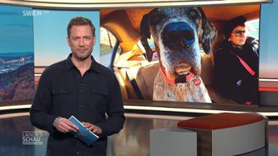 Landesschau Baden-Württemberg