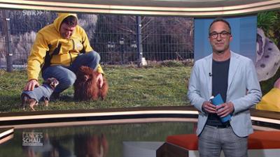 Landesschau Baden-Württemberg: vom 29.12.2021