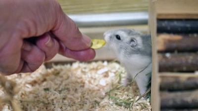 Landesschau Rheinland-Pfalz