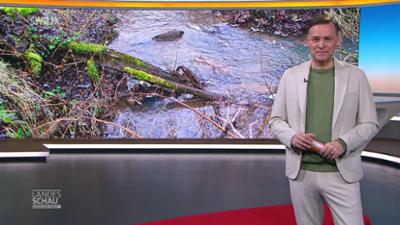 Landesschau Rheinland-Pfalz