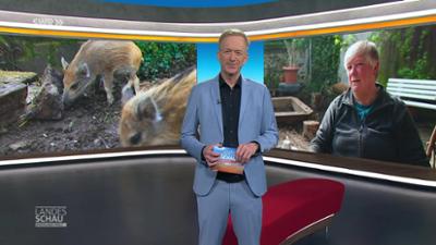 Landesschau Rheinland-Pfalz