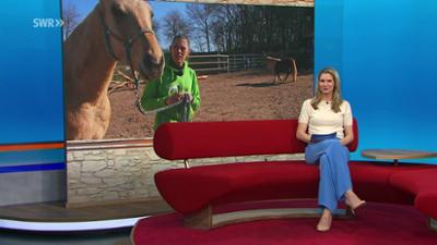 Landesschau Rheinland-Pfalz