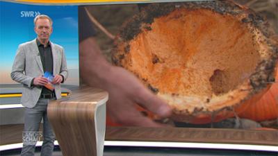 Landesschau Rheinland-Pfalz Landesschau Rheinland-Pfalz